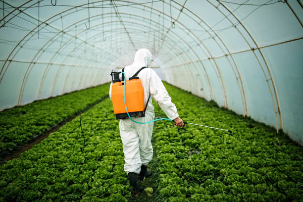 Best Pest Control for Restaurants  in Five Points, NC