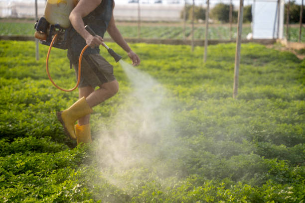 Best Pest Control Treatment  in Five Points, NC