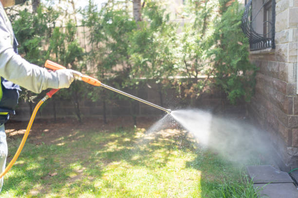 Best Affordable Pest Control Services  in Five Points, NC
