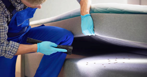 Pest Control for Restaurants in Five Points, NC