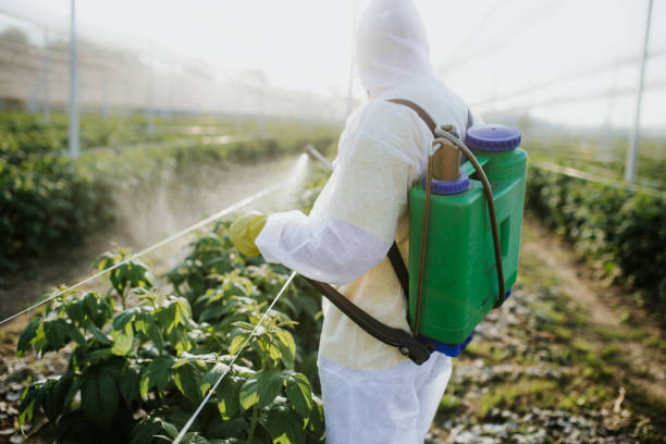 Reliable Five Points, NC Pest Control Solutions